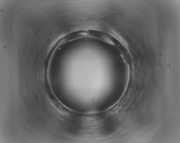 X0000076100107200609221233