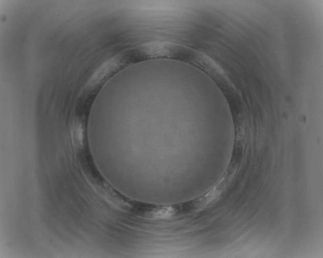 X0000076100124200609221232