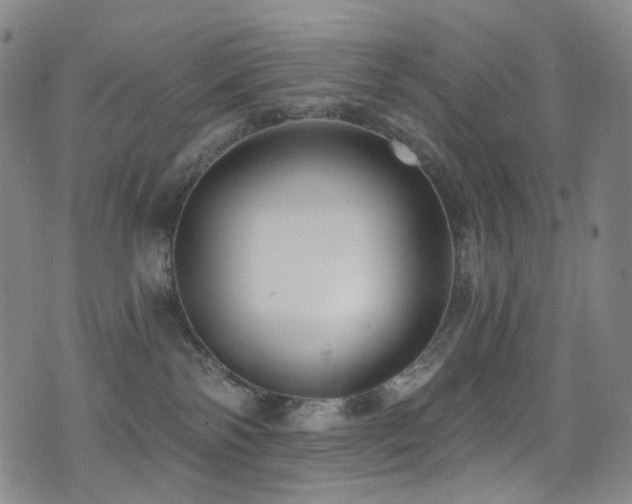 X0000076100138200609221232