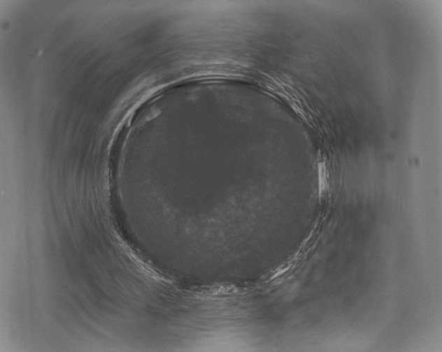 X0000076100243200609221230