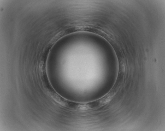 X0000076100275200609221230