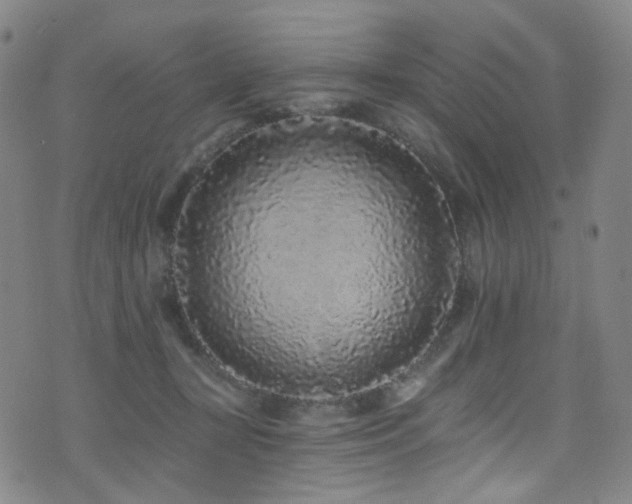 X0000076100367200609221229