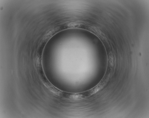 X0000076100375200609221229