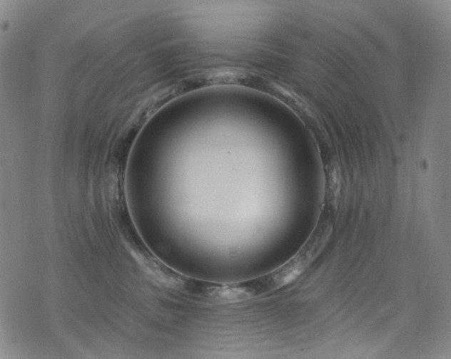 X0000076100379200609221229