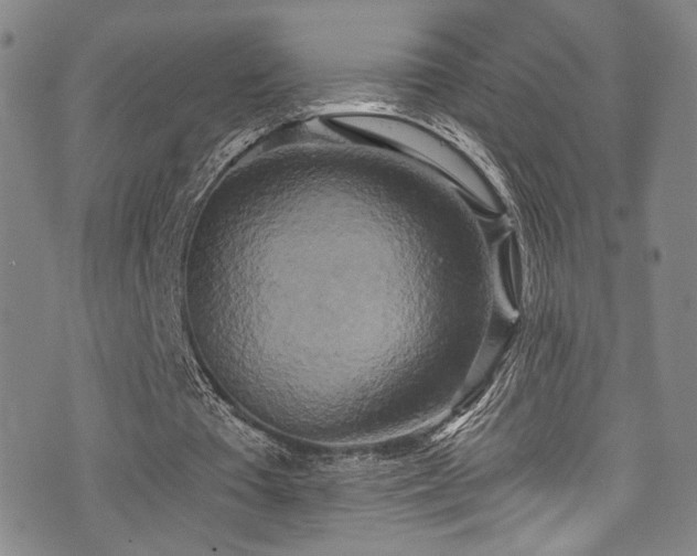 X0000076100385200609221228