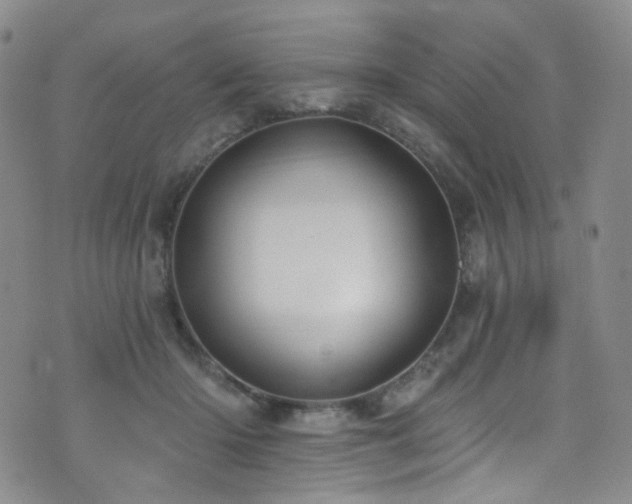 X0000076100414200609221228
