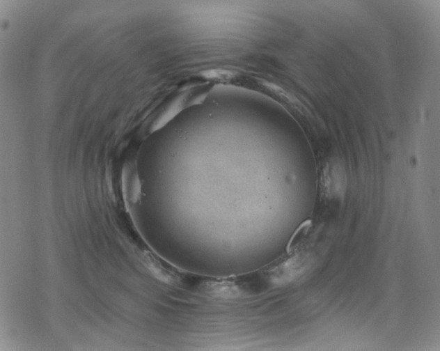 X0000076100424200609221227