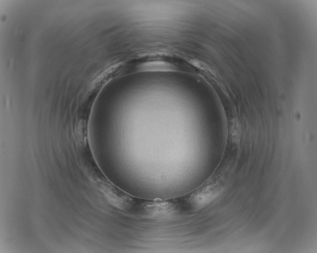 X0000076100428200609221227