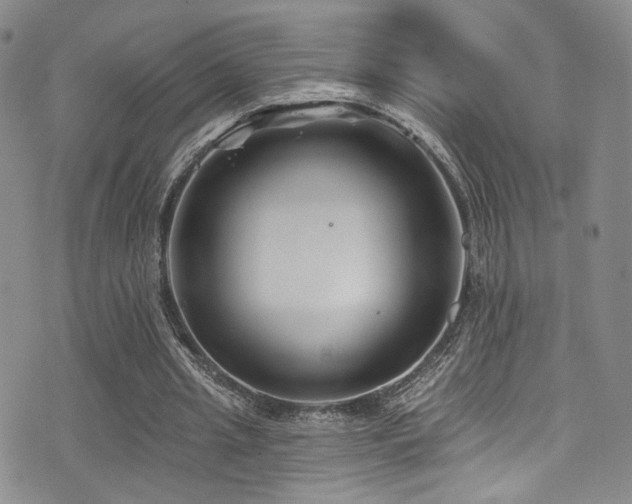 X0000076100437200609221227