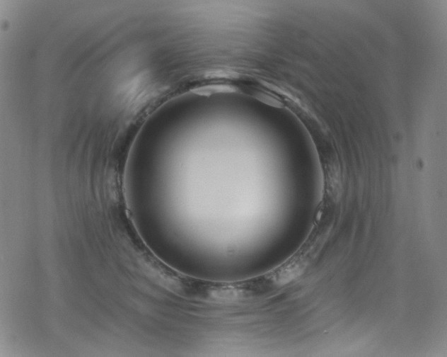 X0000076100470200609221227