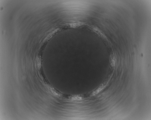 X0000076100471200609221227