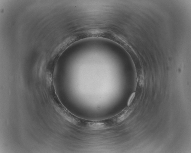 X0000076100476200609221227