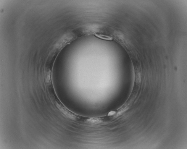 X0000076100477200609221227