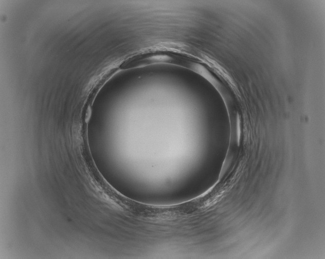 X0000076100485200609221226