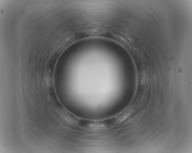 X0000076100515200609221226