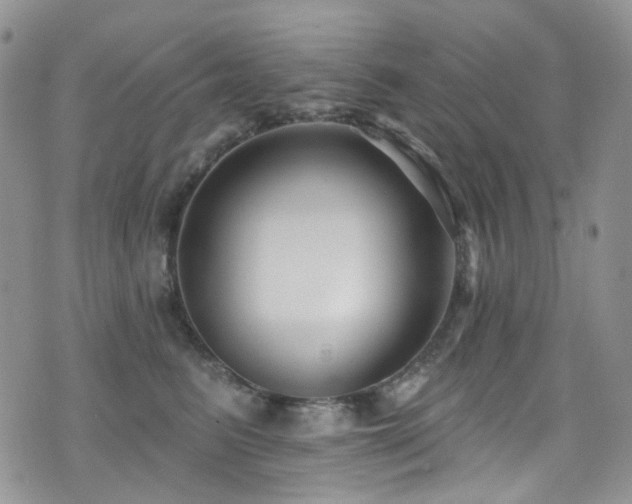 X0000076100615200609221224