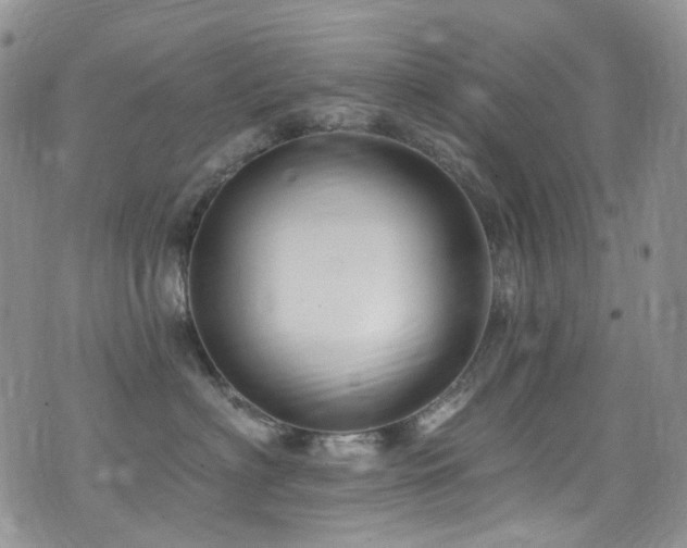 X0000076100622200609221224