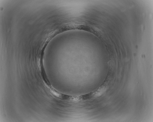 X0000076100624200609221224