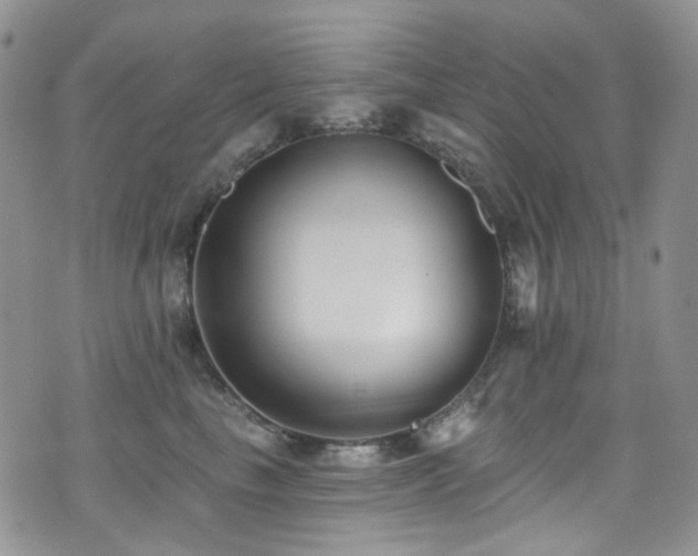 X0000076100665200609221224
