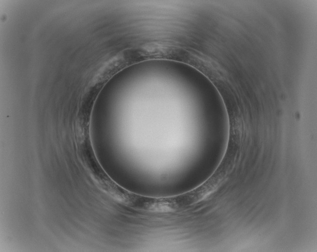 X0000076100751200609221222