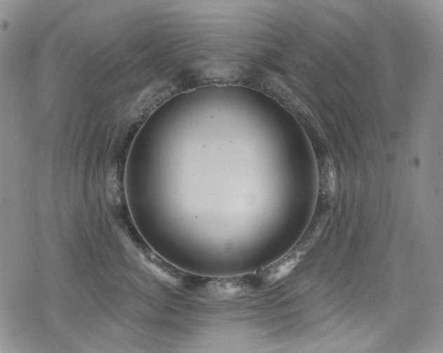 X0000076100764200609221222