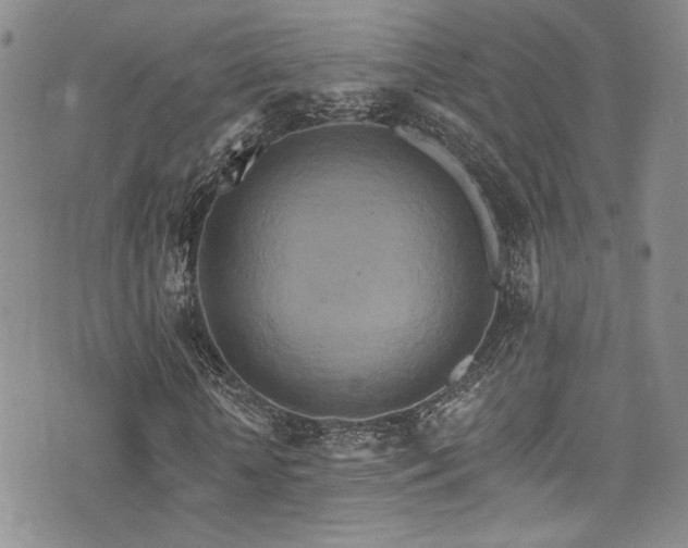 X0000076100818200609221220