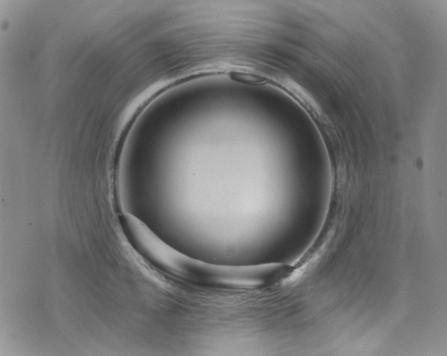 X0000076100854200609221221