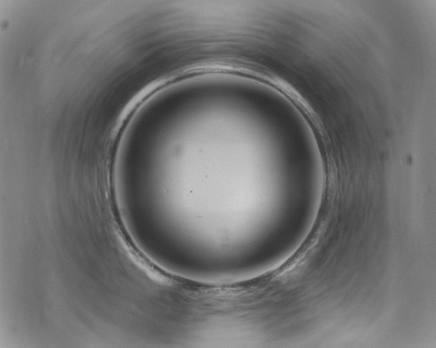 X0000076100862200609221221