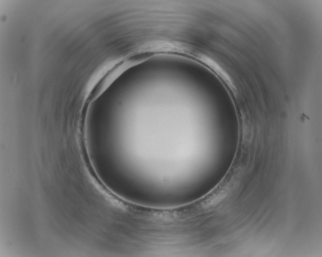 X0000076100901200609221220
