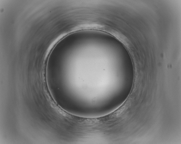 X0000076100912200609221219