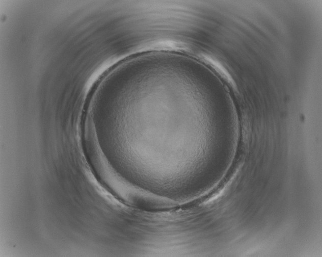 X0000076100944200609221219