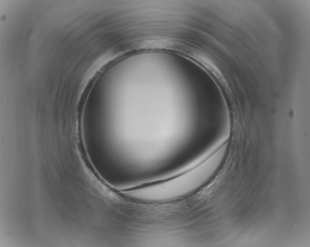 X0000076100992200609221218