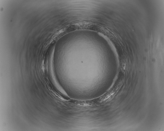 X0000076101010200609221217