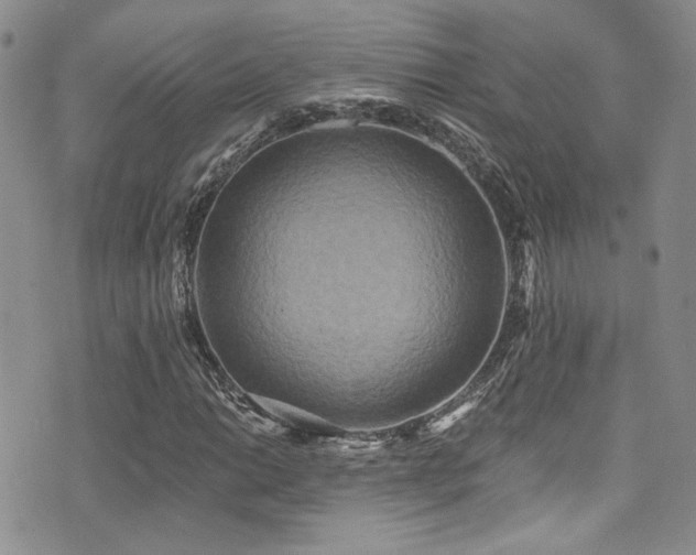 X0000076101014200609221217