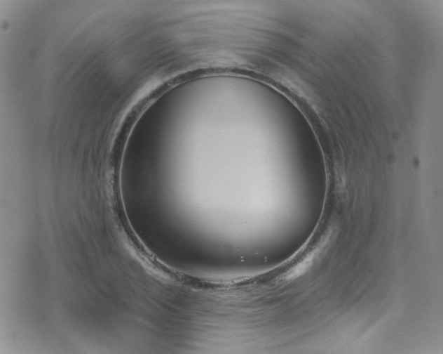 X0000076101029200609221217