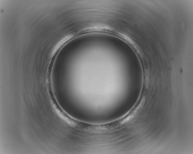 X0000076101042200609221218
