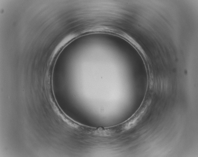 X0000076101053200609221218
