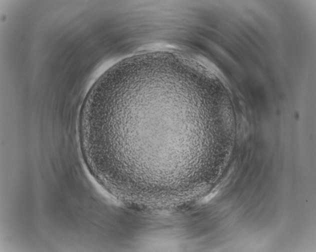 X0000076101055200609221218