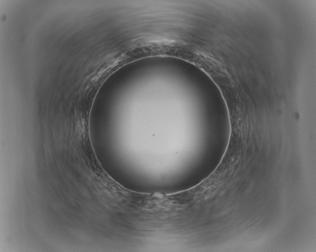 X0000076101061200609221217