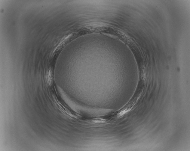X0000076101108200609221215