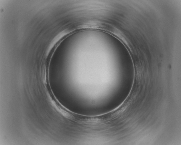 X0000076101131200609221216