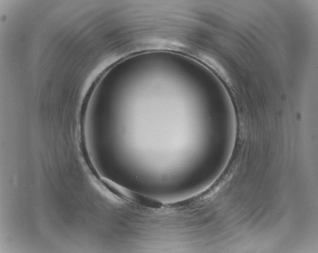 X0000076101136200609221216