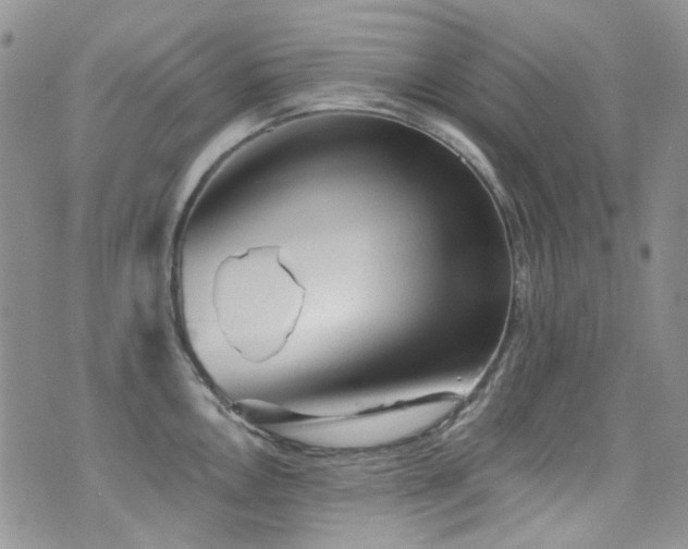 X0000076101146200609221216