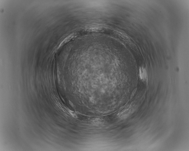 X0000076101155200609221215