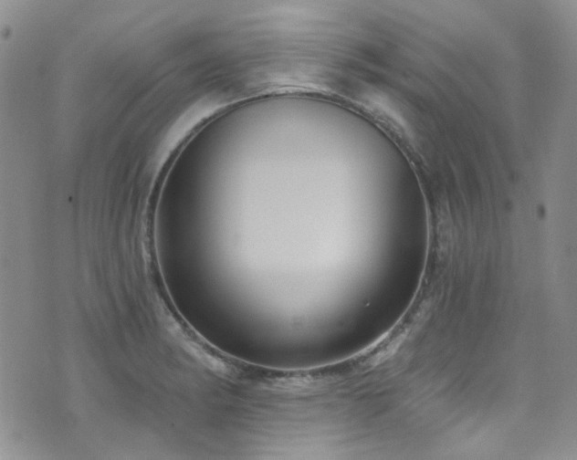 X0000076101182200609221215