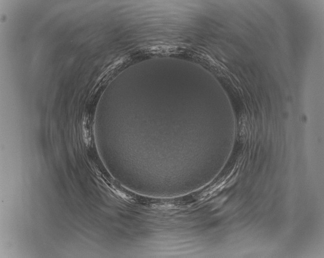 X0000076101202200609221214