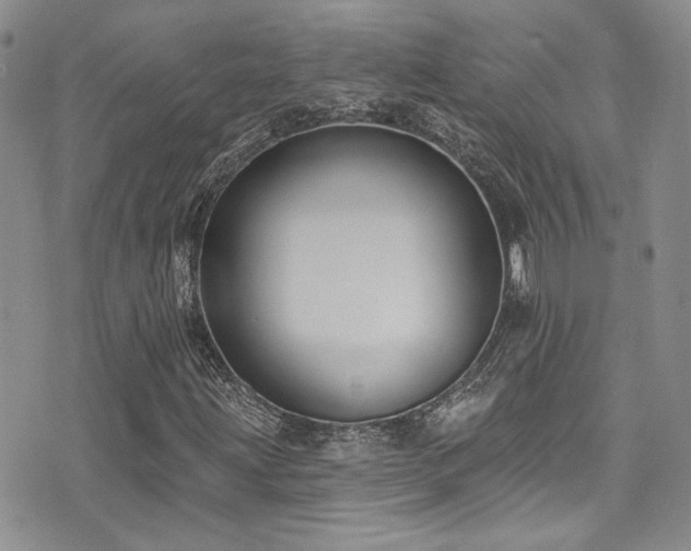 X0000076101203200609221214