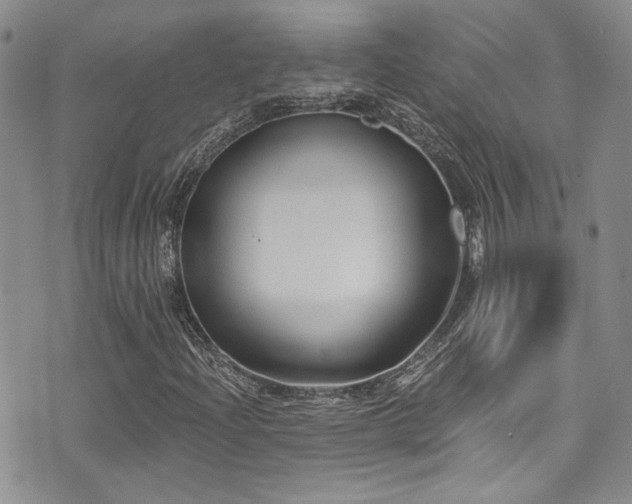 X0000076101204200609221214
