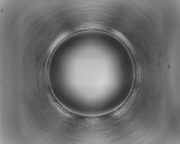 X0000076101242200609221214