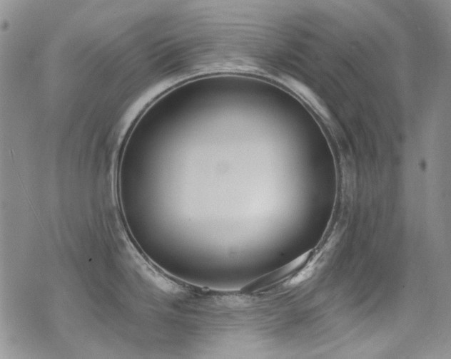 X0000076101246200609221215